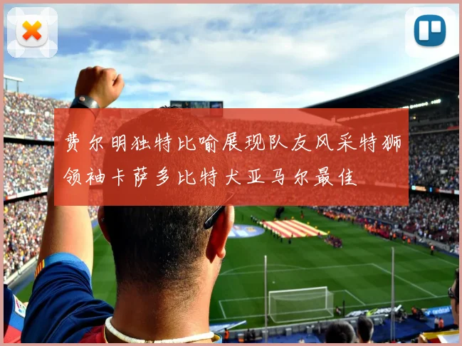 费尔明独特比喻展现队友风采特狮领袖卡萨多比特犬亚马尔最佳